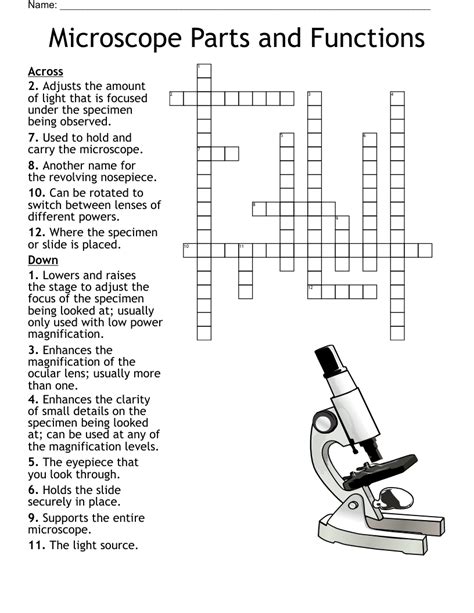 Microscope parts crossword. Things To Know About Microscope parts crossword. 